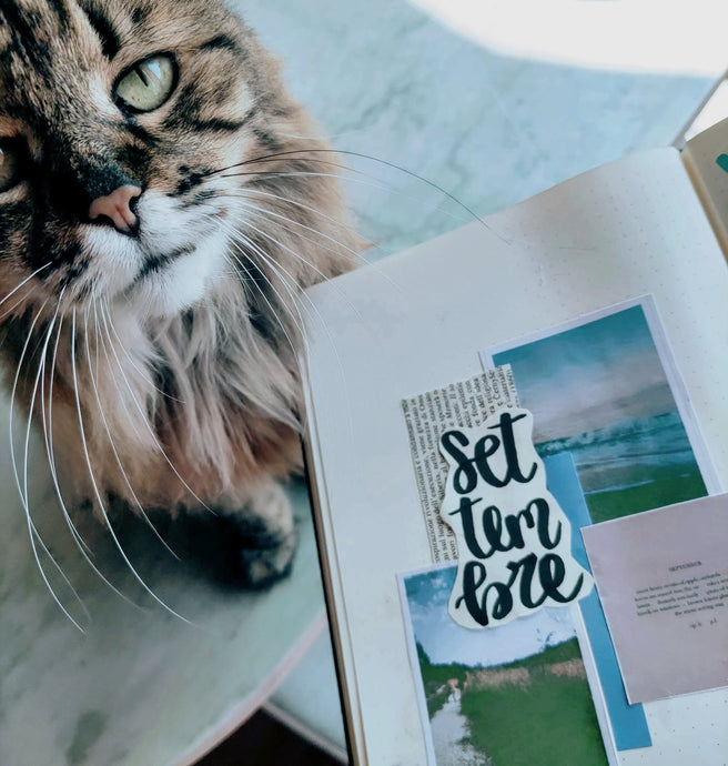 Che Cos'è il BULLET JOURNAL e come colorare gli impegni della vita