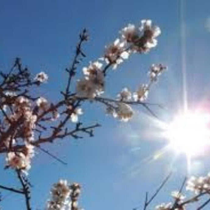 I libri da leggere in Primavera MARZO 2021