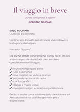 Carica l'immagine nel visualizzatore di Gallery, Olanda in Valigia™ | Itinerario completo Amsterdam, Tulipani e Road Trip + Mappe Interattive
